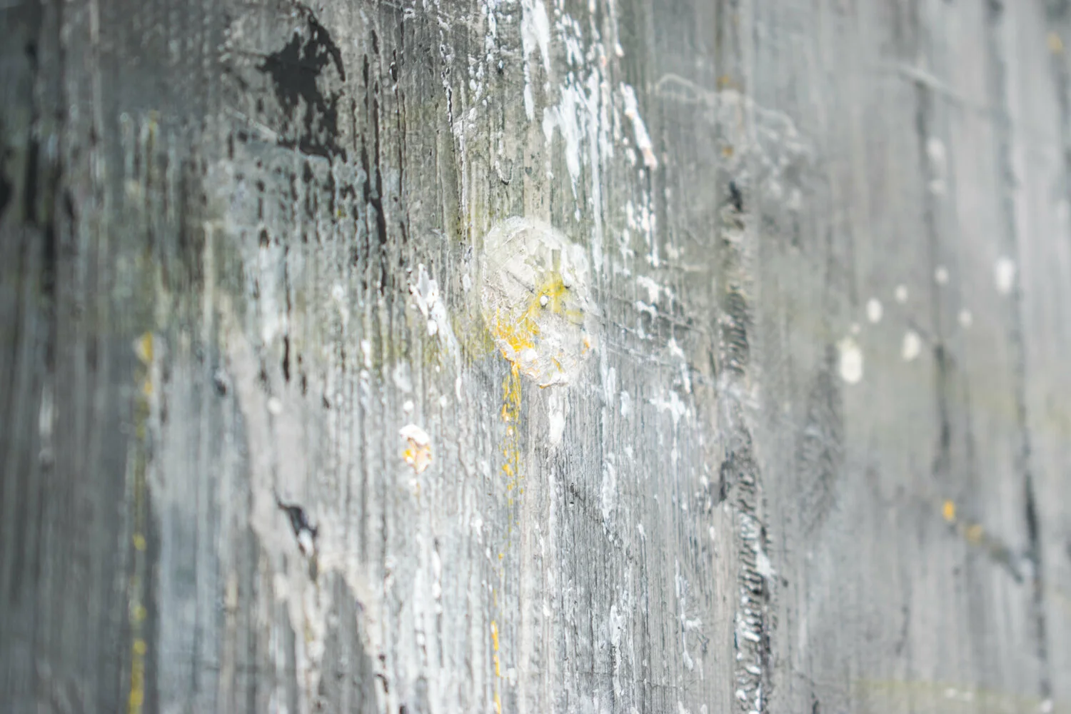 Silent Moon 1 — detail 6