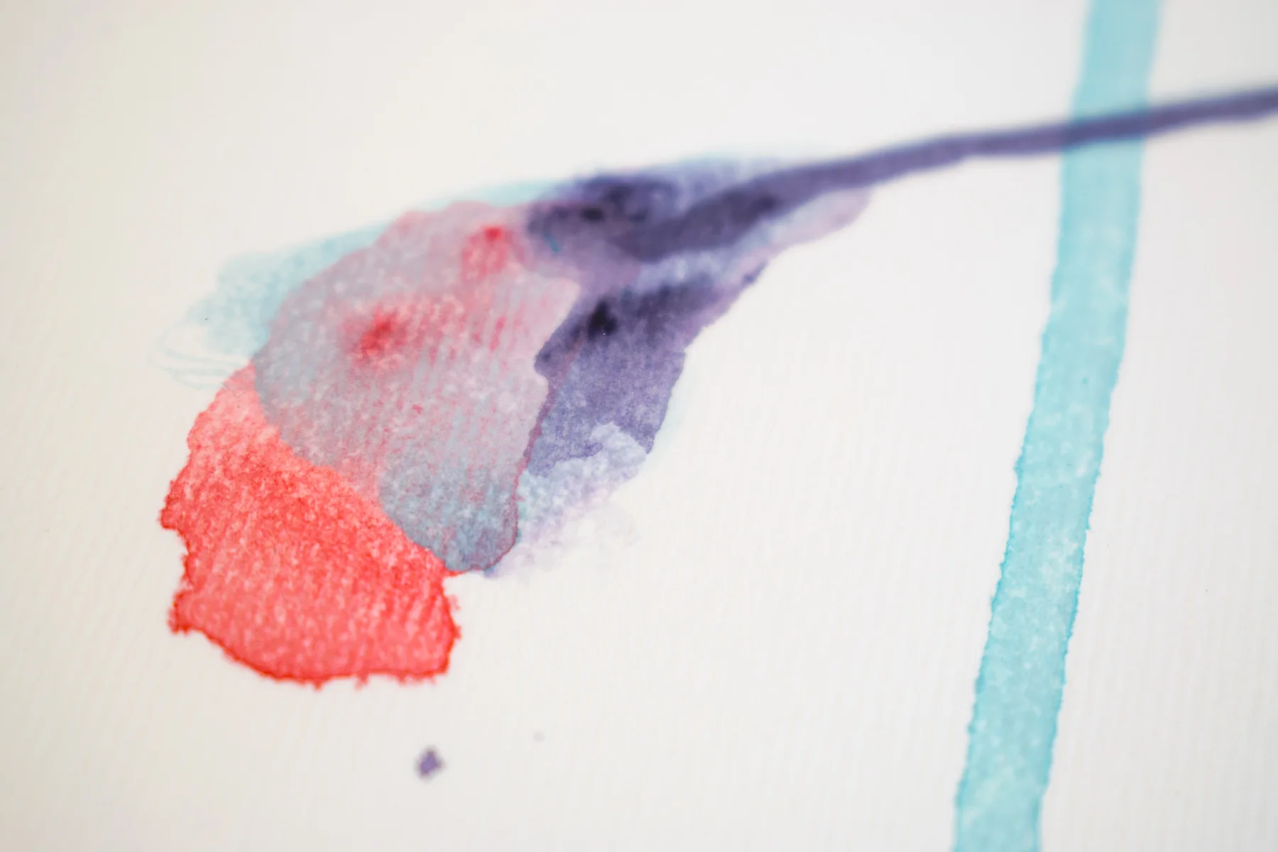Silent Poppies 1 — detail 3