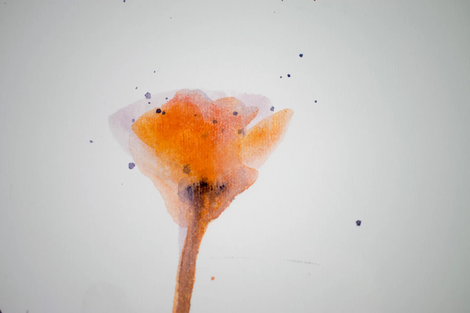 Silent Poppies 1 — detail 5