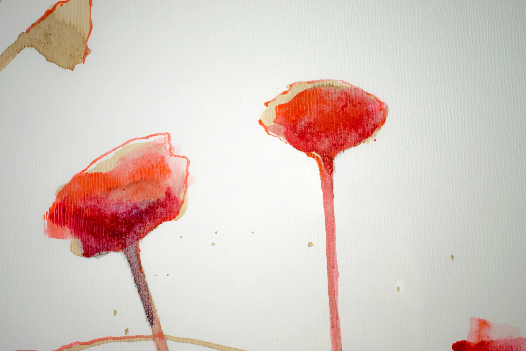 Silent Poppies 10 — detail 4