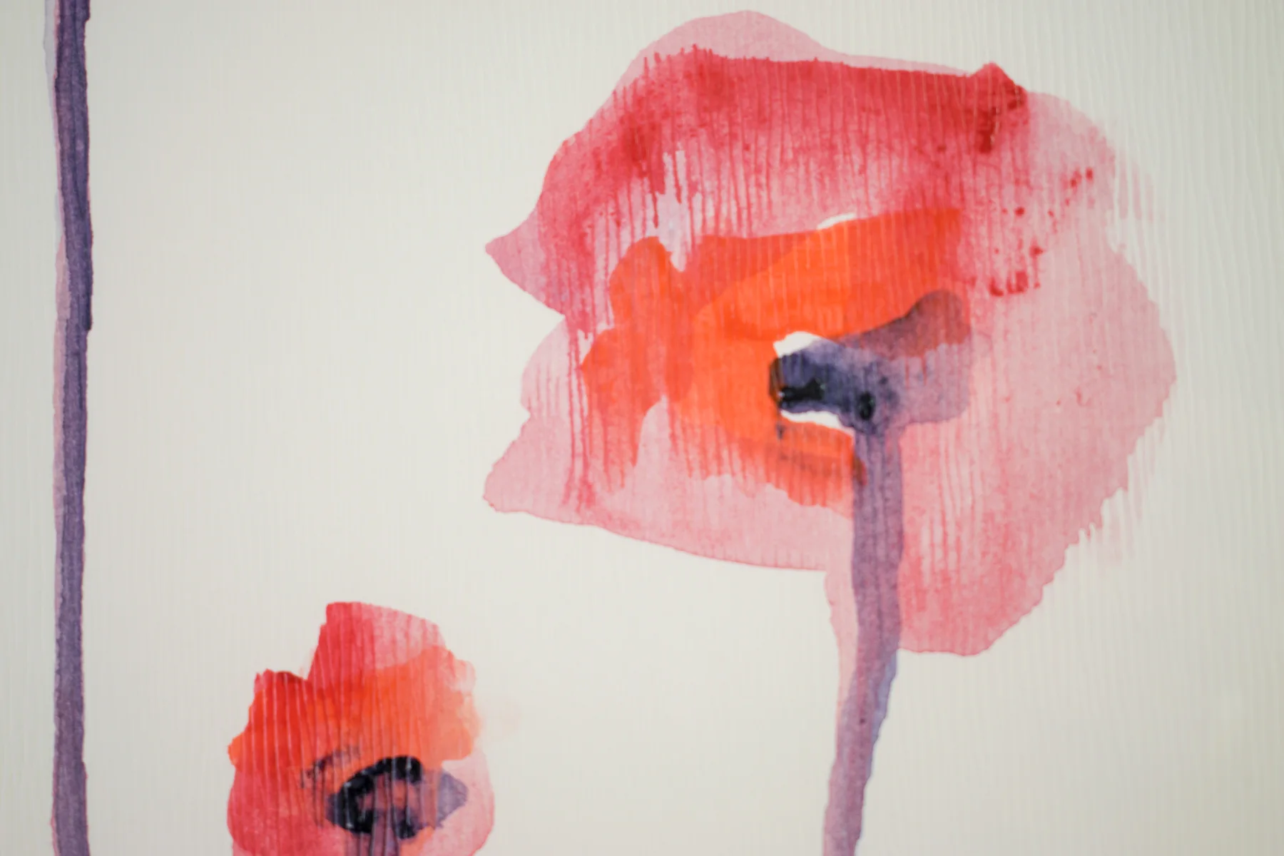 Silent Poppies 11 — detail 3