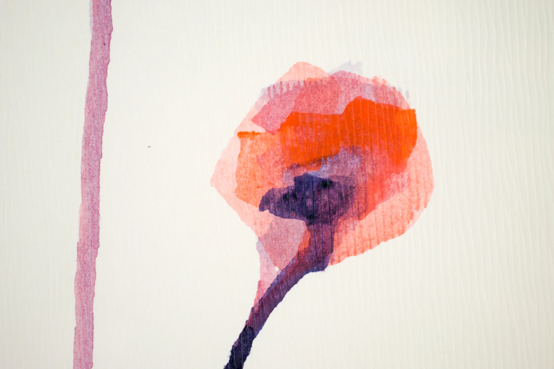 Silent Poppies 11 — detail 5