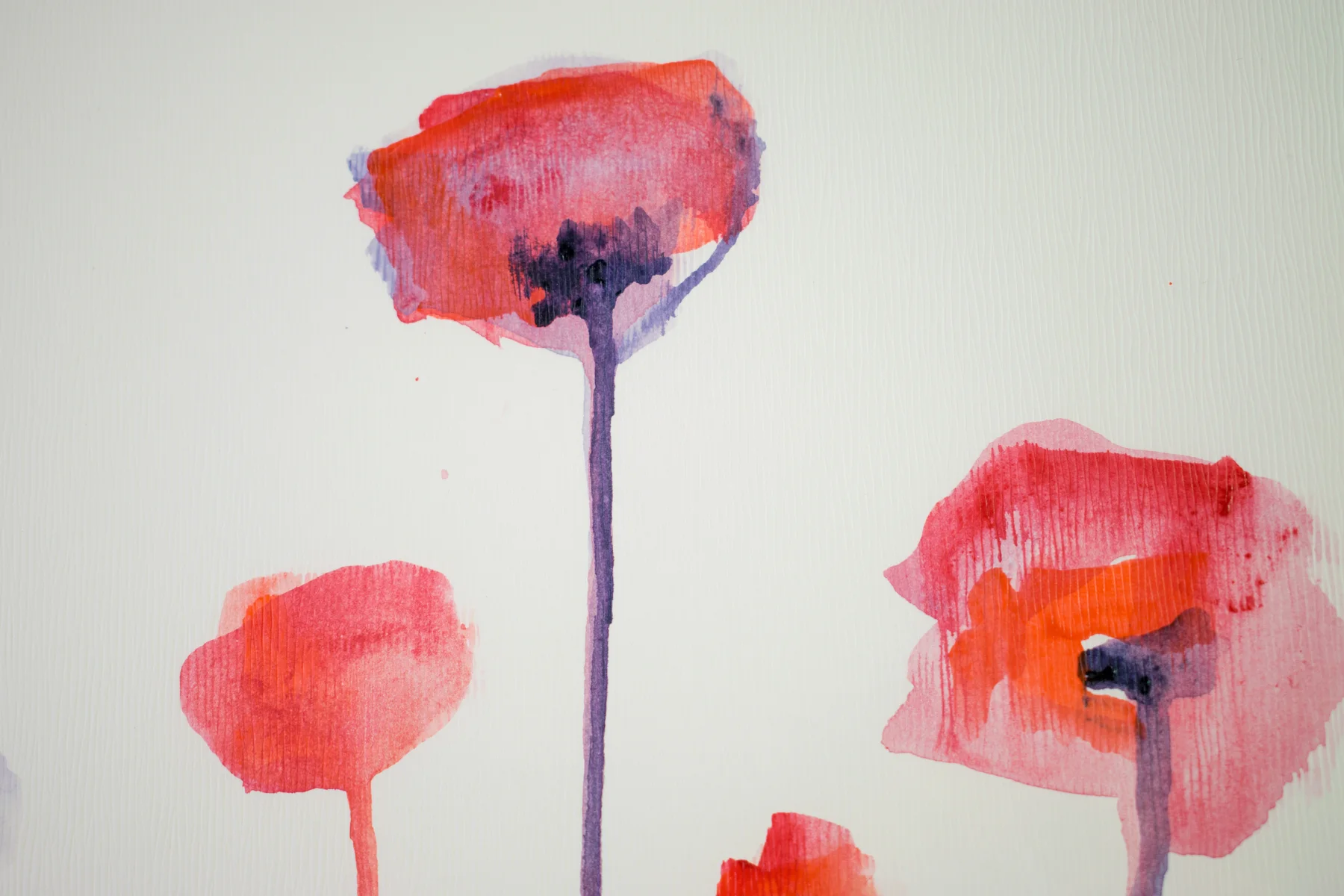 Silent Poppies 11 — detail 6