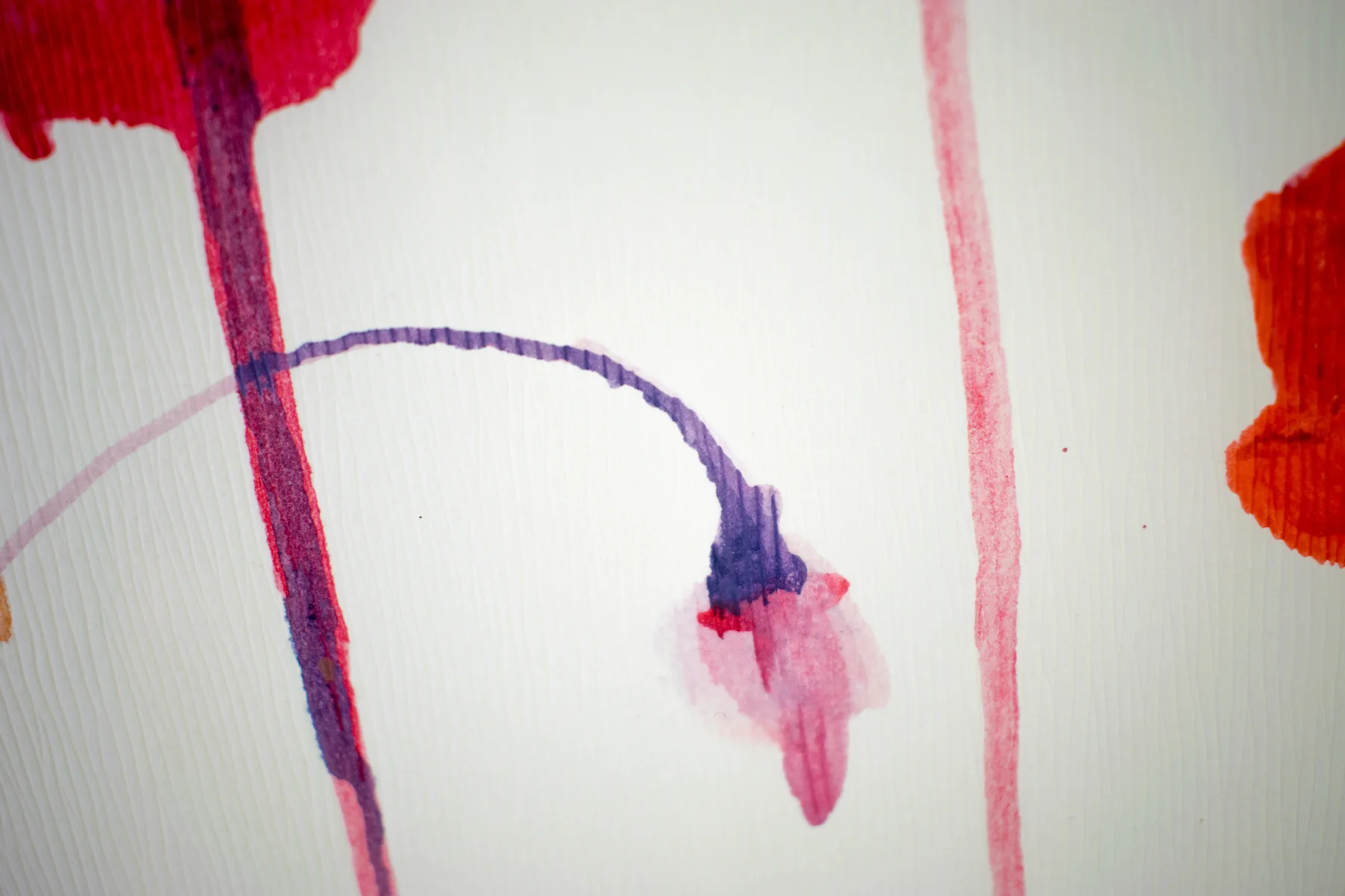 Silent Poppies 12 — detail 5