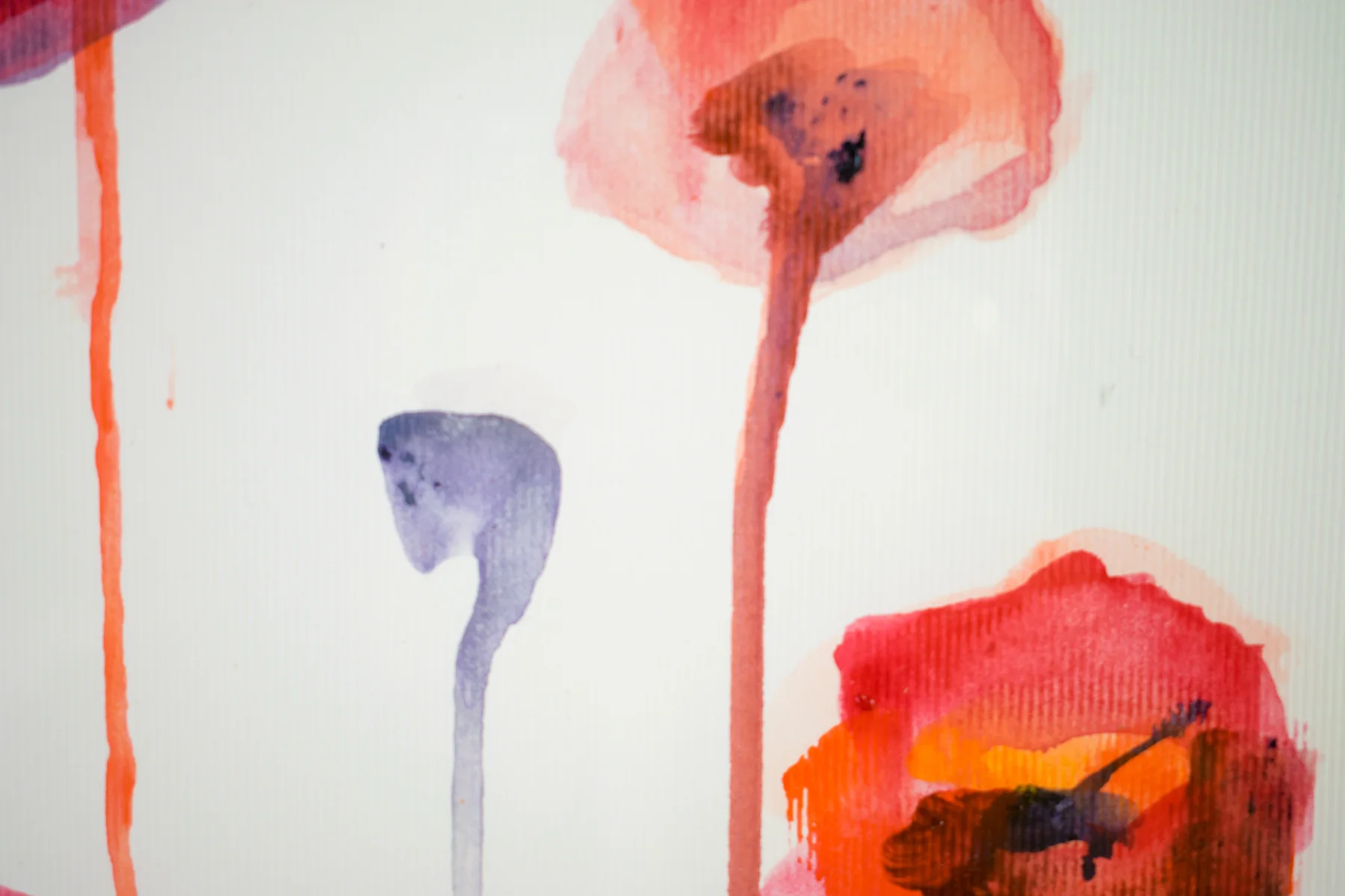 Silent Poppies 13 — detail 5