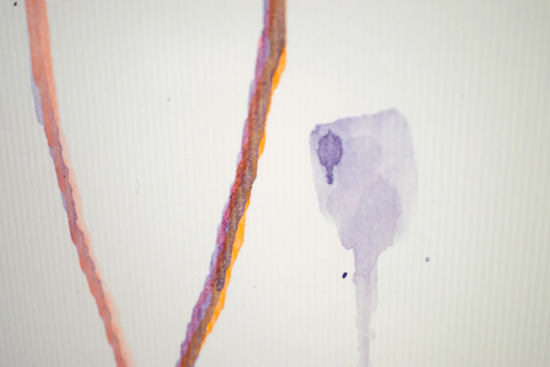 Silent Poppies 13 — detail 6