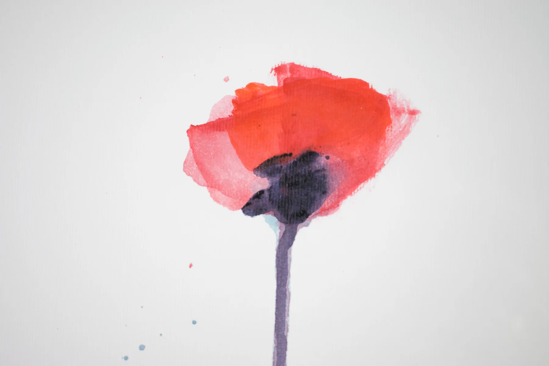Silent Poppies 2 — detail 6