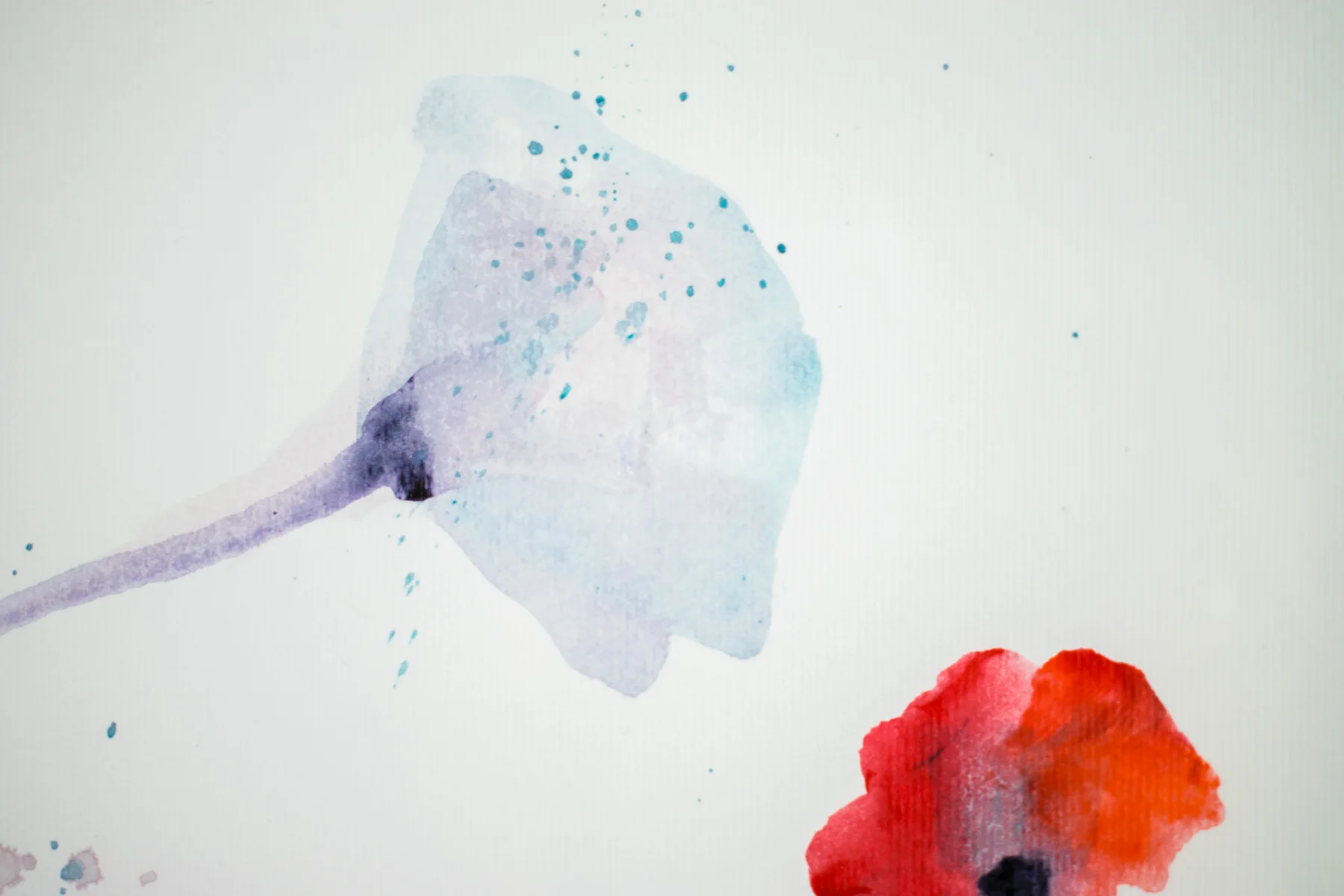 Silent Poppies 2 — detail 7