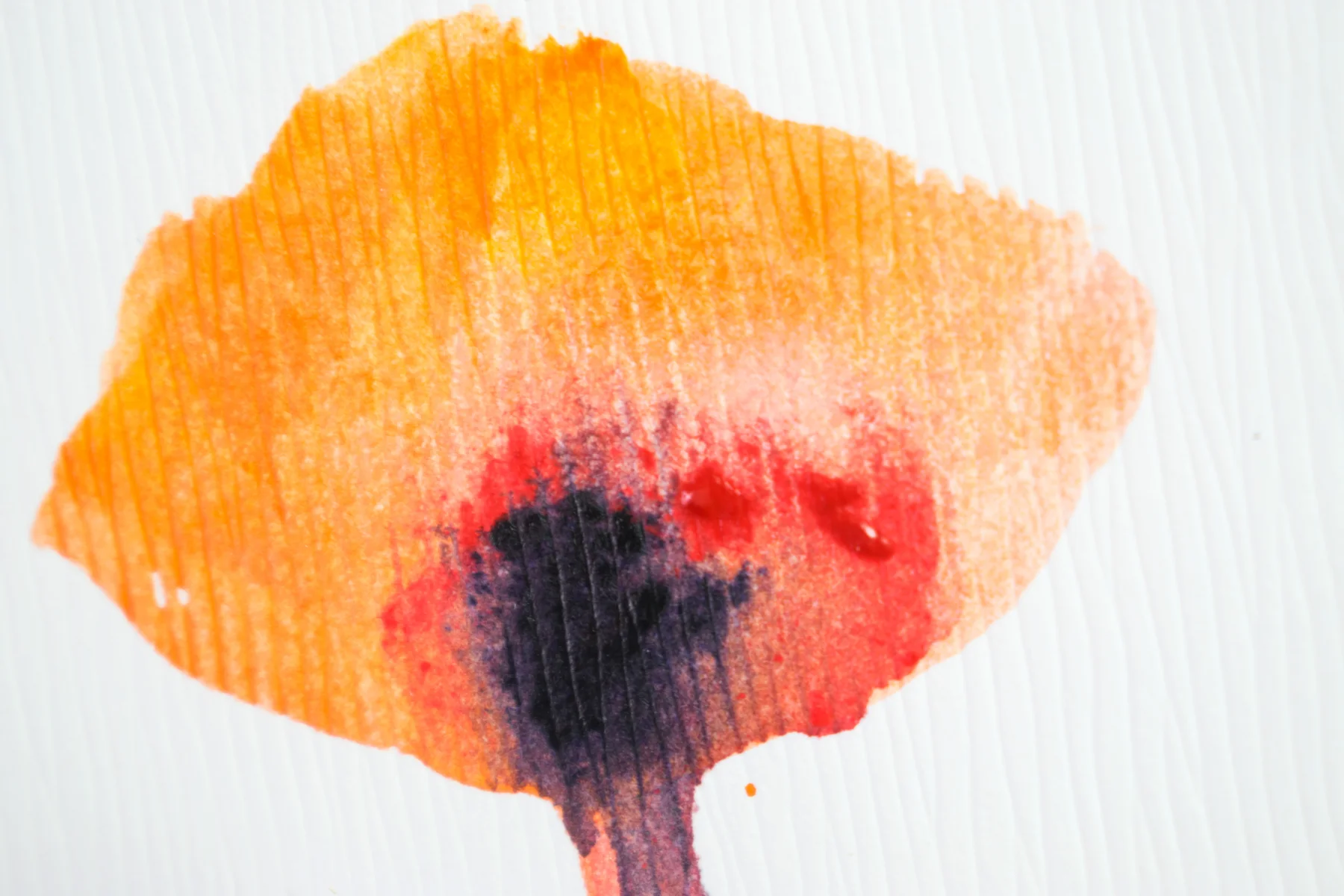 Silent Poppies 3 — detail 5