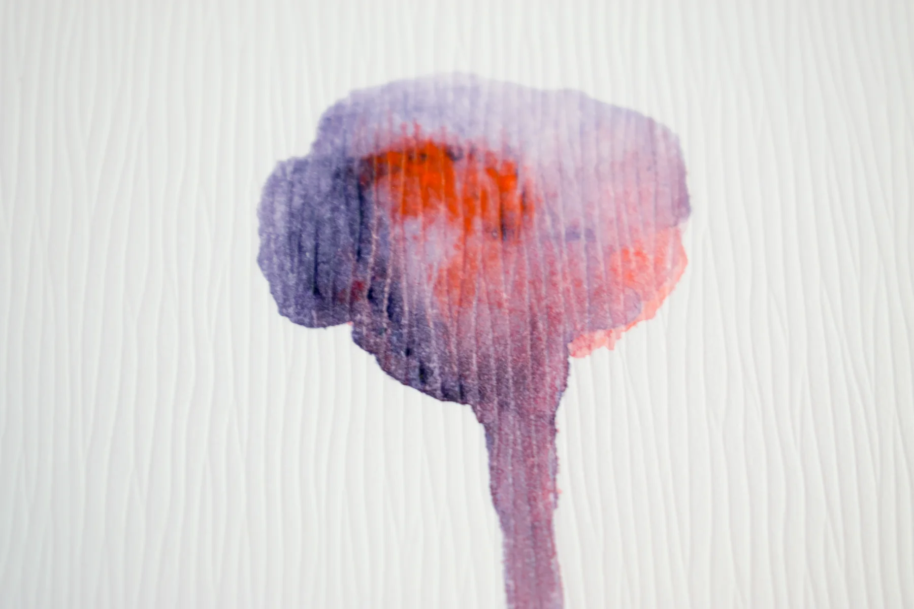 Silent Poppies 3 — detail 6