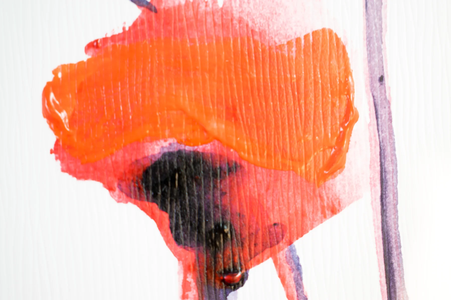 Silent Poppies 6 — detail 5