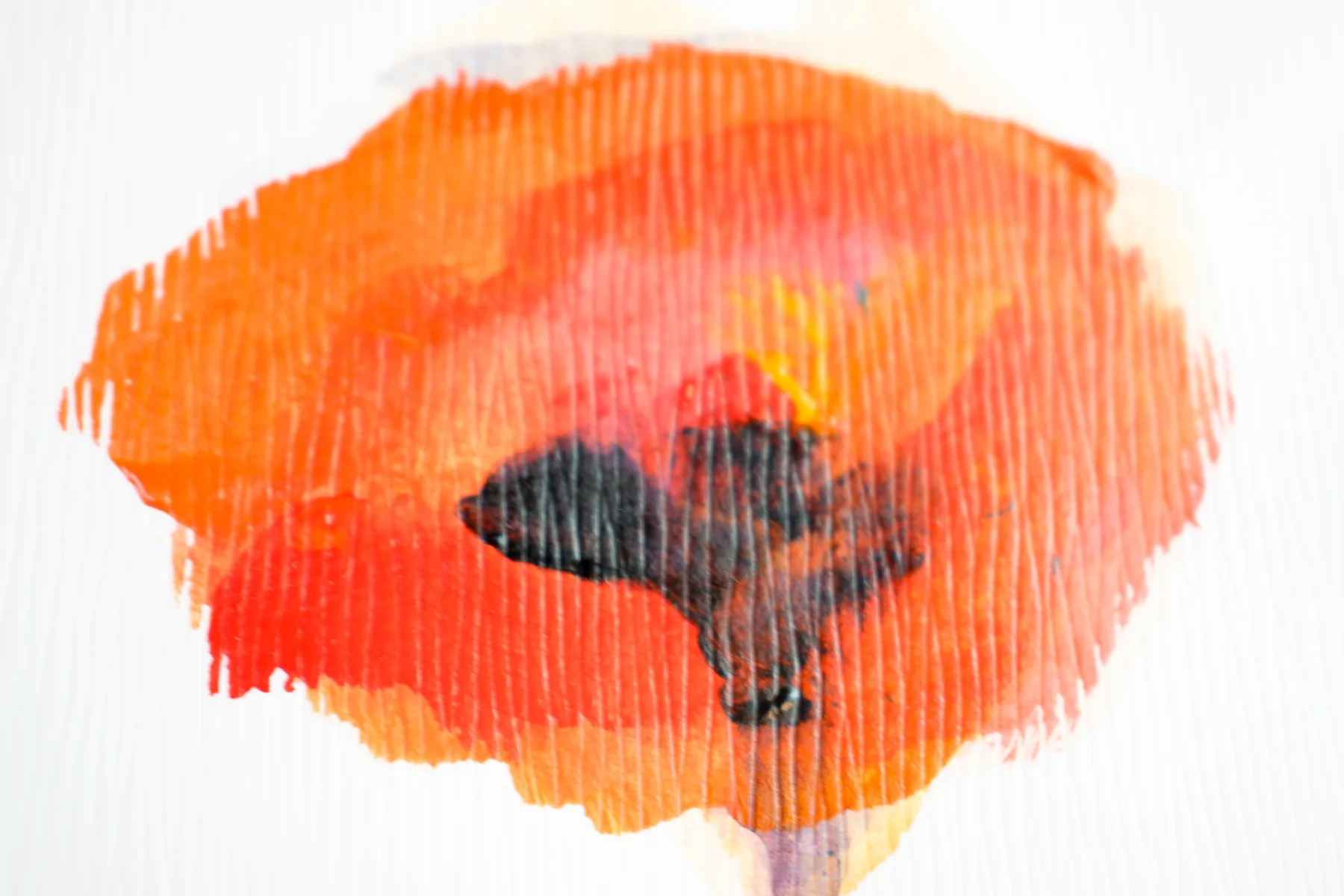 Silent Poppies 6 — detail 6