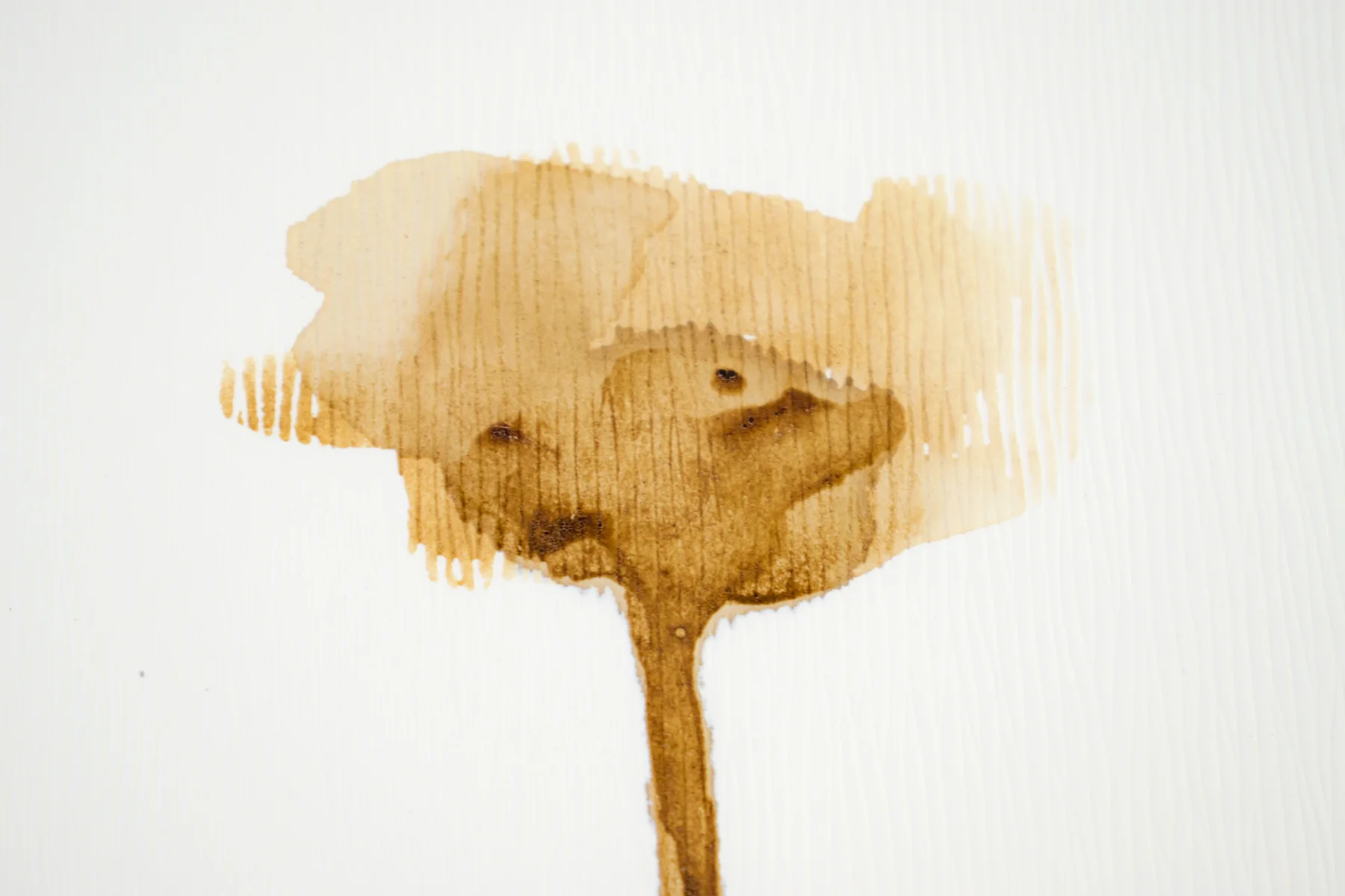 Silent Poppies 8 — detail 4
