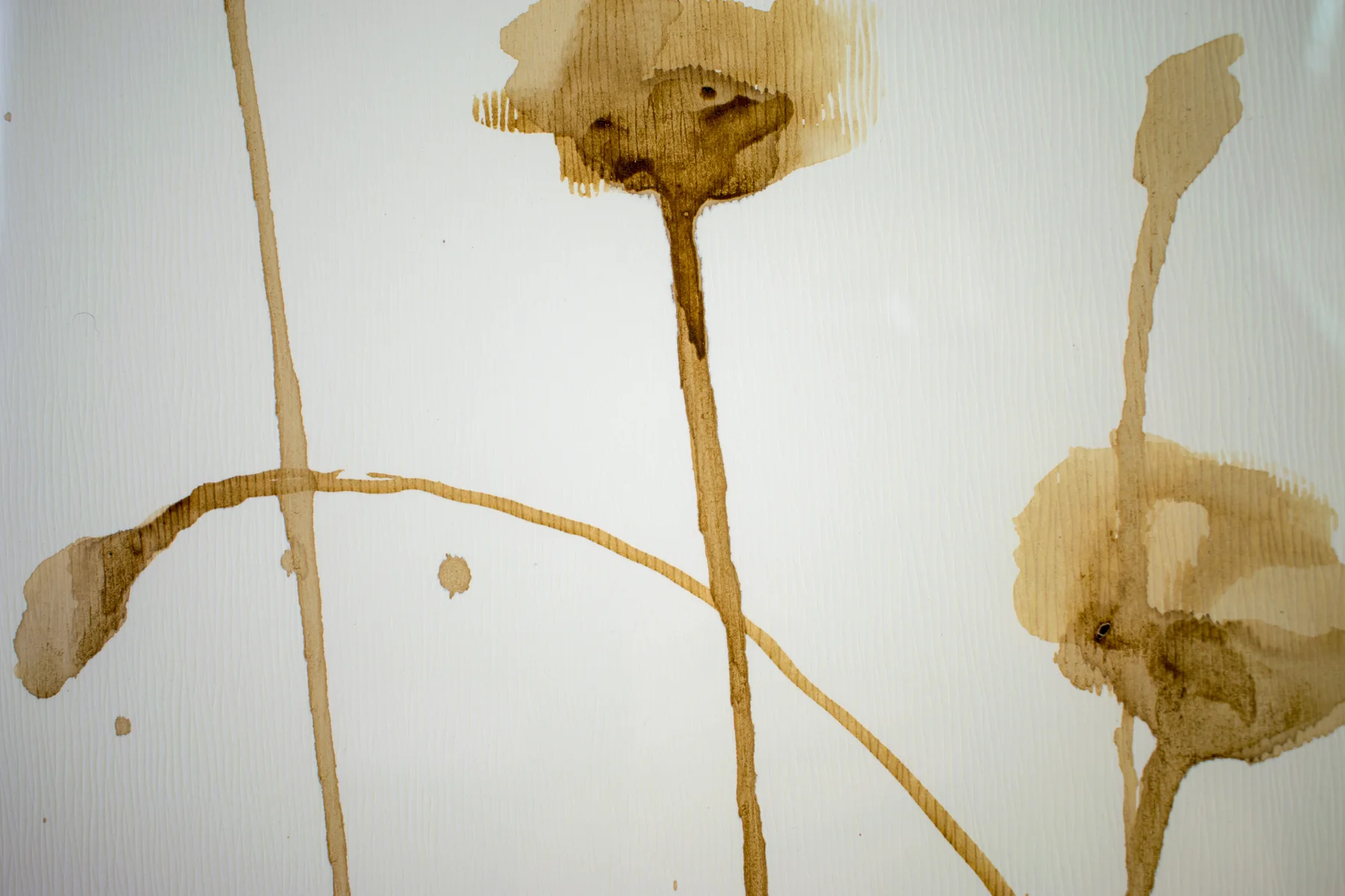 Silent Poppies 8 — detail 8